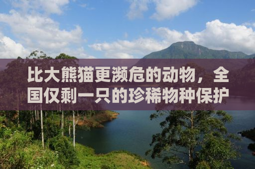 比大熊猫更濒危的动物，全国仅剩一只的珍稀物种保护之路