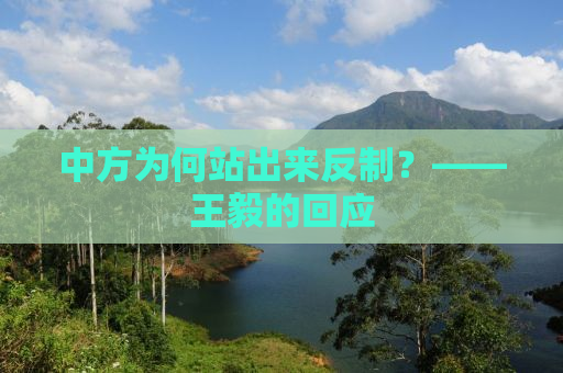 中方为何站出来反制？——王毅的回应