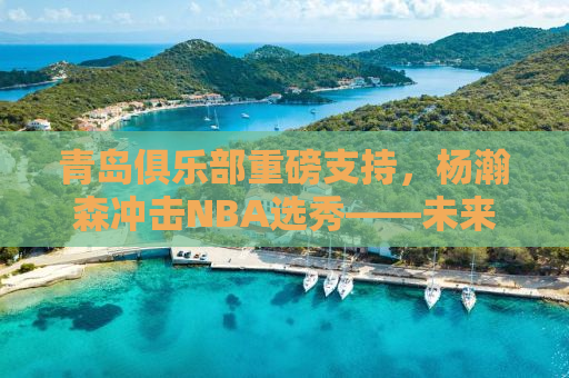 青岛俱乐部重磅支持，杨瀚森冲击NBA选秀——未来之星，扬帆起航！