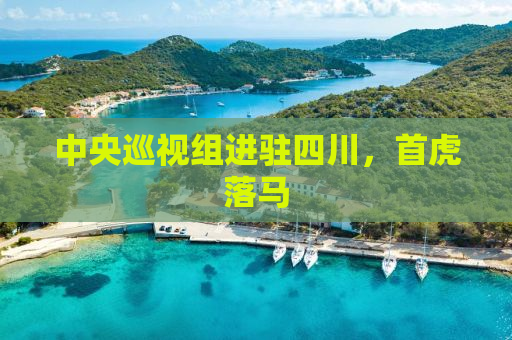中央巡视组进驻四川，首虎落马