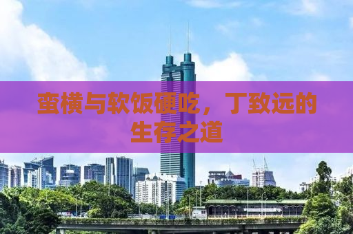 蛮横与软饭硬吃，丁致远的生存之道