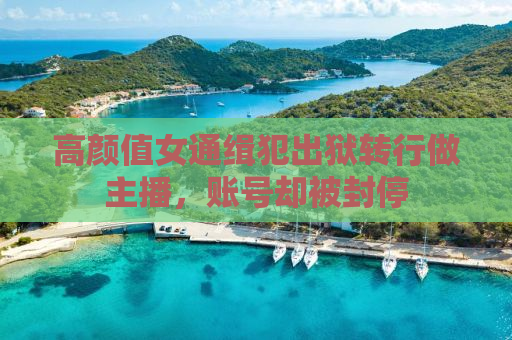 高颜值女通缉犯出狱转行做主播，账号却被封停