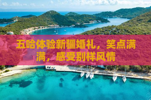 五哈体验新疆婚礼，笑点满满，感受别样风情