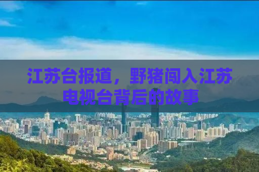 江苏台报道，野猪闯入江苏电视台背后的故事