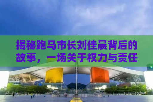 揭秘跑马市长刘佳晨背后的故事，一场关于权力与责任的反思