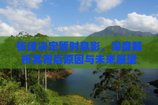 张译决定暂时息影，深度解析其背后原因与未来展望