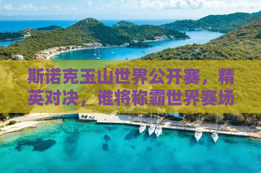 斯诺克玉山世界公开赛，精英对决，谁将称霸世界赛场？