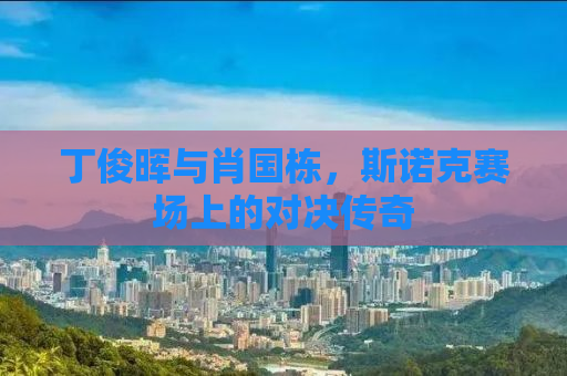 丁俊晖与肖国栋，斯诺克赛场上的对决传奇