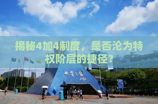揭秘4加4制度，是否沦为特权阶层的捷径？