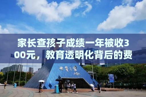 家长查孩子成绩一年被收300元，教育透明化背后的费用问题探讨