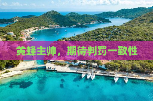 黄蜂主帅，期待判罚一致性