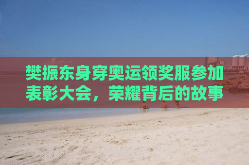 樊振东身穿奥运领奖服参加表彰大会，荣耀背后的故事与坚持