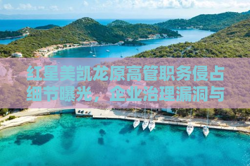 红星美凯龙原高管职务侵占细节曝光，企业治理漏洞与防范之道