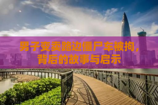 男子变卖路边僵尸车被拘，背后的故事与启示