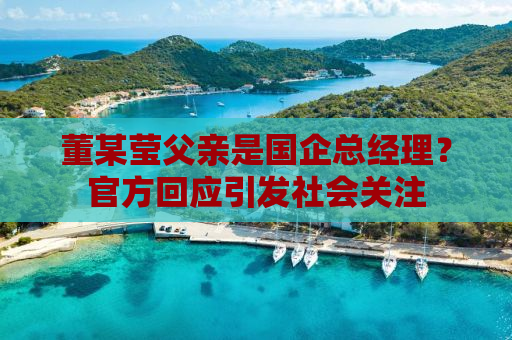 董某莹父亲是国企总经理？官方回应引发社会关注