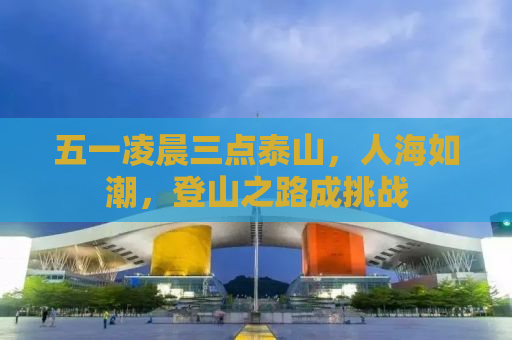 五一凌晨三点泰山，人海如潮，登山之路成挑战