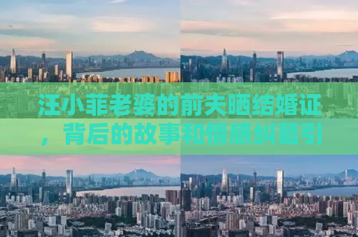 汪小菲老婆的前夫晒结婚证，背后的故事和情感纠葛引人深思