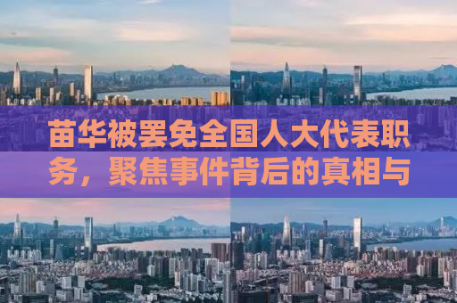 苗华被罢免全国人大代表职务，聚焦事件背后的真相与影响