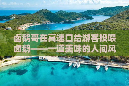 卤鹅哥在高速口给游客投喂卤鹅——一道美味的人间风景