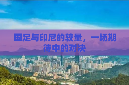 国足与印尼的较量，一场期待中的对决