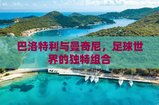 巴洛特利与曼奇尼，足球世界的独特组合