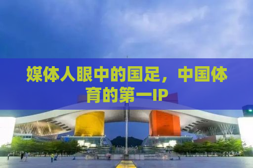 媒体人眼中的国足，中国体育的第一IP