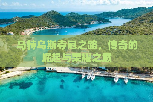 马特乌斯夺冠之路，传奇的崛起与荣耀之巅