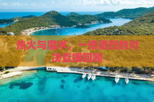 热火与魔术，一场激烈的对决直播回顾