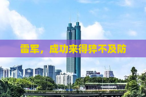 雷军，成功来得猝不及防